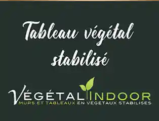  Codes Promo Vegetalindoor